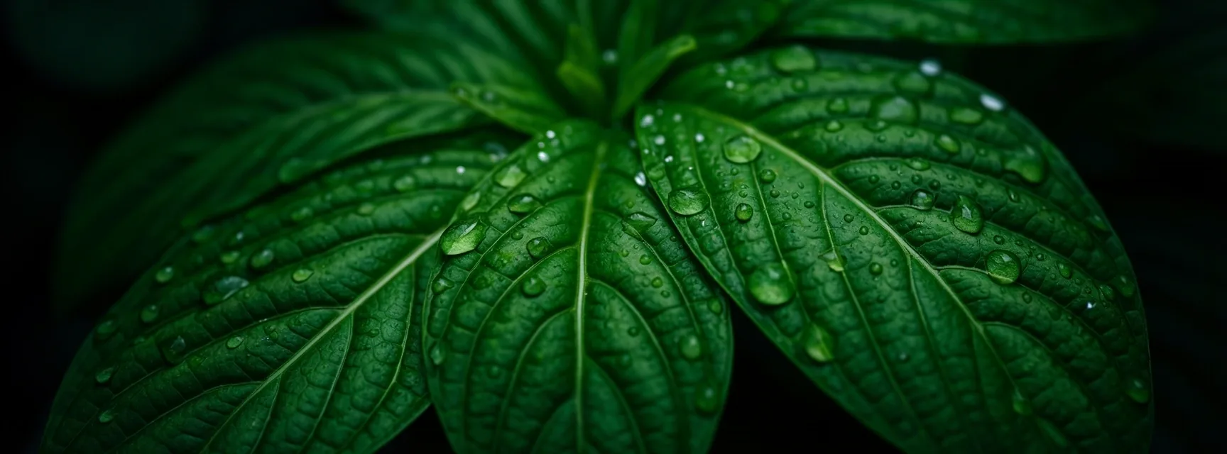 Nature detail